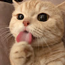 User_4123826506