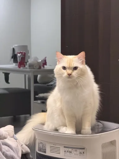 滴滴