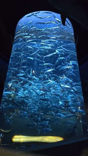 user_2094555652