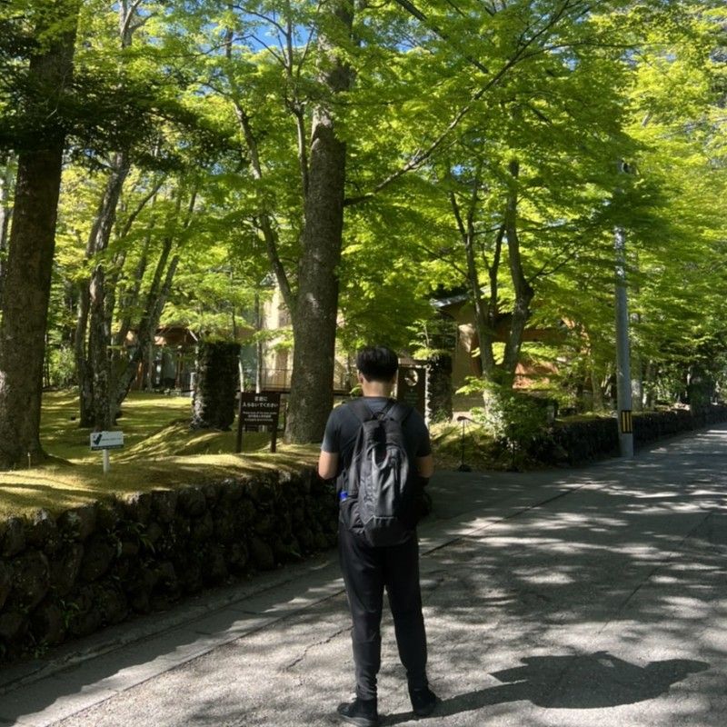 宇桐