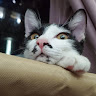User_1678048559