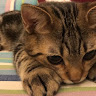 User_1384140813