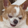 GeeWaWa