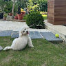 User_3651987589