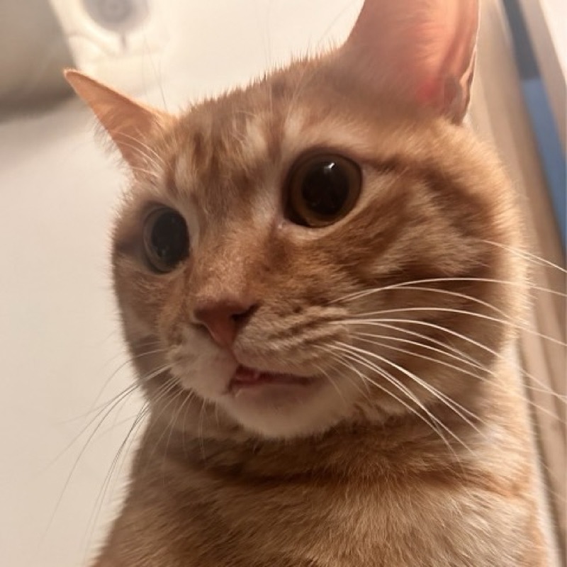 user_2592369044