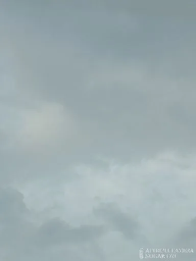 張晉嘉