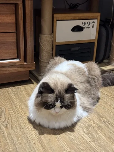 Mumu