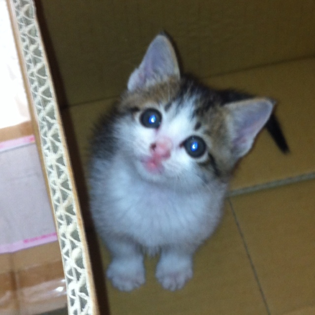 user_3914606953