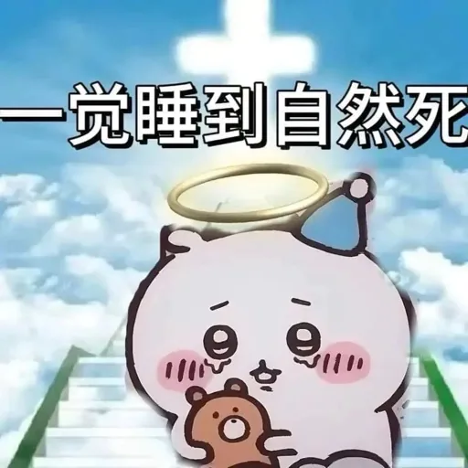 匿名浣熊