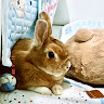 User_4124324718