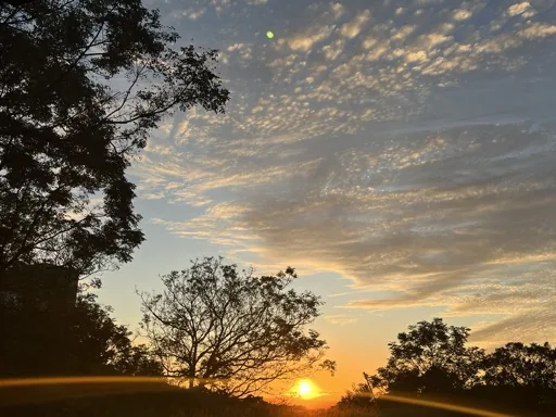 user_8964b2e7da00