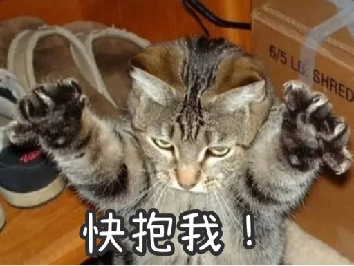 User_562058133