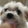 林世琦