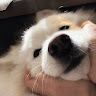User_3765572004