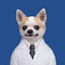 User_3004290274
