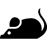 User_1810826874