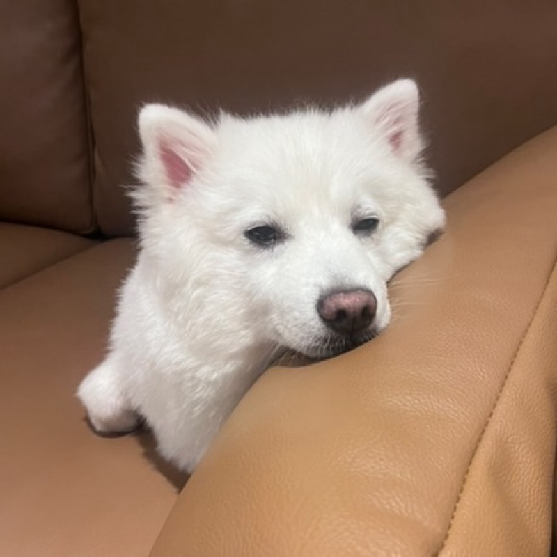 user_2298756888