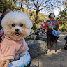 user_1074152708