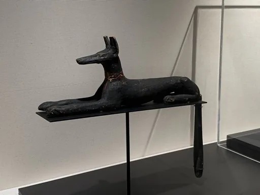 Jui