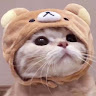 hung Chen