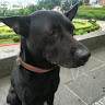 User_2616251763