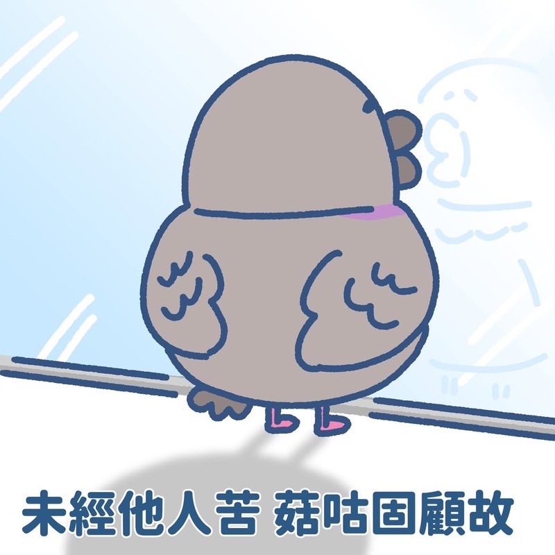 菇菇谷菇谷