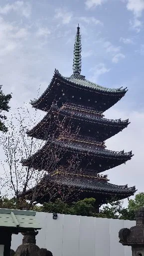L.阿克