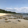 小飛蝦