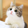 澤