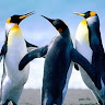 user_751021870