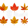 User_296621147