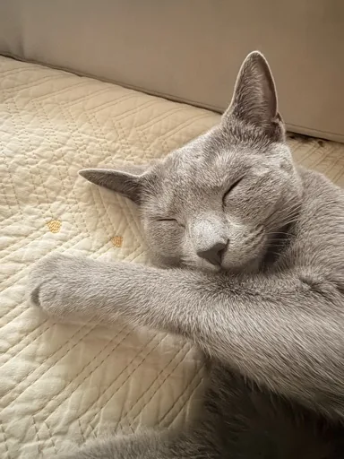 Tangi