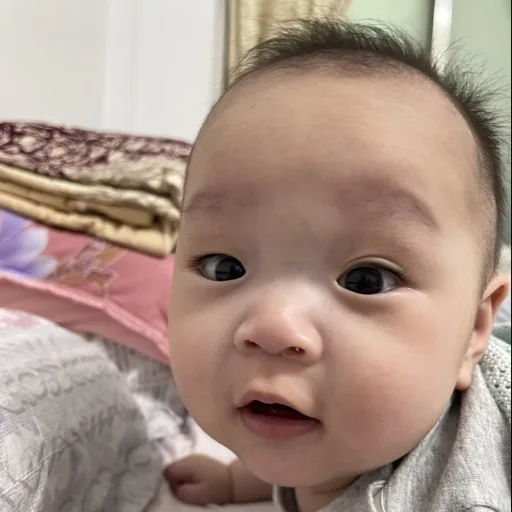 Shengche