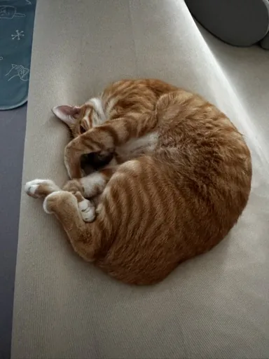 William