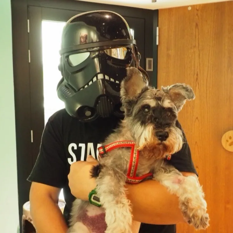 高毛球
