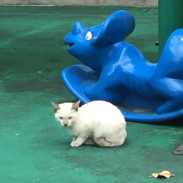 買日新