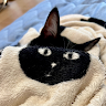 user_3650458350
