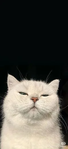 user_2922537640