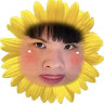 盛