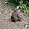 黃小志