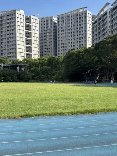 豆豆