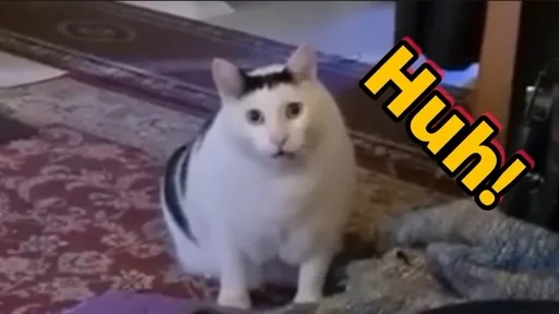 han