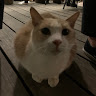 Lyc