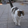 User_3130214990