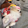 user_2312411802