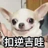 邱翊峻