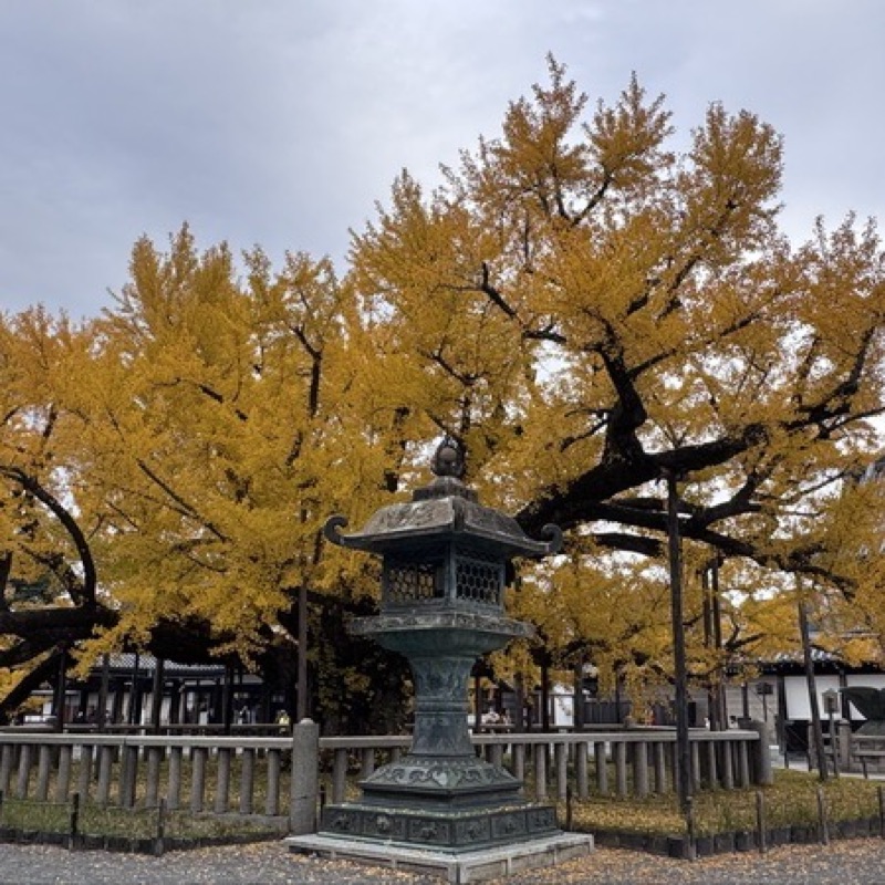 user_2101571705