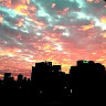 User_3800032260