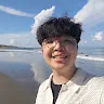 豪伊