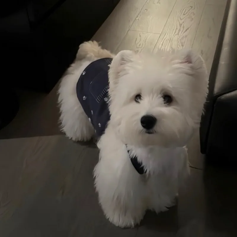 千瑋